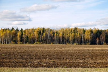 Ekim ayının güneşli bir günü. Altın sonbahar. Kırsal görüş. Ufukta tarlalar ve ormanlar var.                               