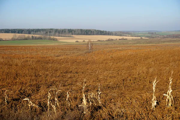 Krajobraz Wiejski Widok Poziomy Panorama Pól Otwartych Przestrzeni Słoneczny Jesienny — Zdjęcie stockowe