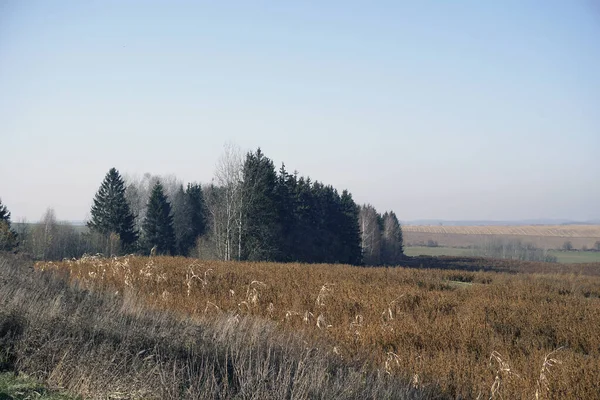 Krajobraz Wiejski Widok Poziomy Panorama Pól Otwartych Przestrzeni Słoneczny Jesienny — Zdjęcie stockowe