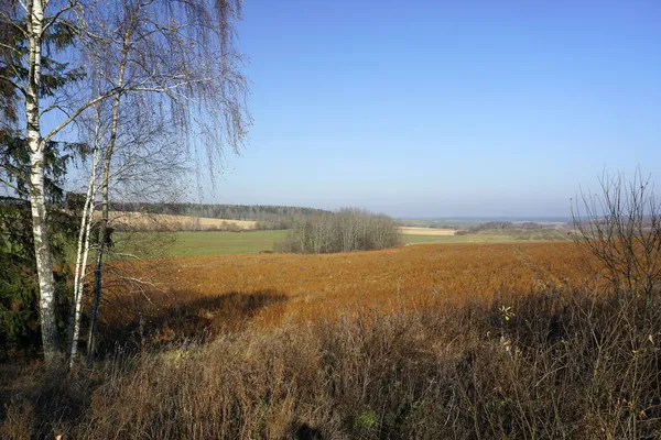 Krajobraz Wiejski Widok Poziomy Panorama Pól Otwartych Przestrzeni Słoneczny Jesienny — Zdjęcie stockowe