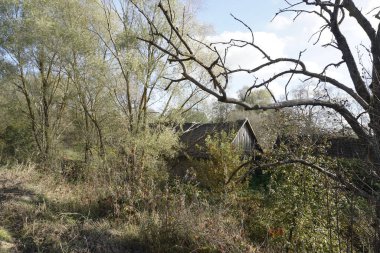 İhmal edilmiş, bakımsız bir bahçede terk edilmiş eski bir ev. Köyde sonbahar. Hdri haritası