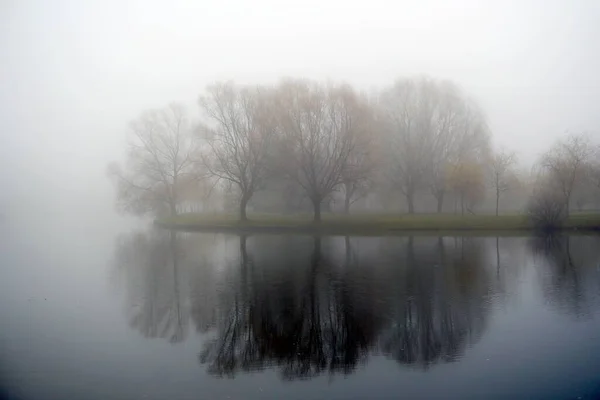 Brouillard Automne Novembre Dans Parc Bord Eau Mystique Réflexion Vue — Photo