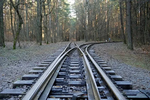 Železnice Lese Perspektiva Cesty Rozcházejí Turn — Stock fotografie