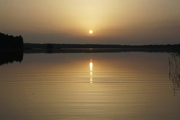 Belo Pôr Sol Julho Sobre Lago Floresta Sol Ondas Calmas — Fotografia de Stock