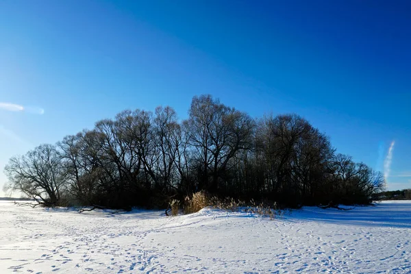 Sonniger Tag Februar Blauer Himmel Weiden Auf Der Insel Zwischen — Stockfoto