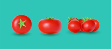 Domates vektör çizimi. Yeşil arka planda gerçekçi domates. Domatesler üst görünüm, yan görünüm. Taze sebze, yapraklı organik..