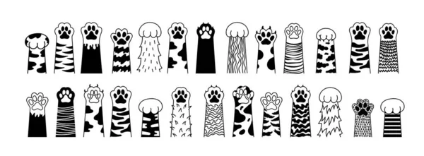 Μεγάλο Ζευγάρι Γατοπόδαρα Πόδι Σκύλου Γάτα Doodle Πόδι Ζώου Χαριτωμένο — Διανυσματικό Αρχείο