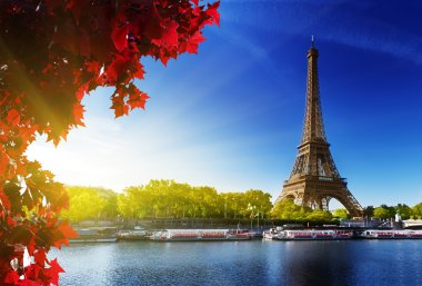 color of autumn in Paris clipart