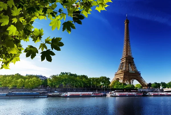 Seine in Paris with Eiffel tower Royalty Free Stock Images