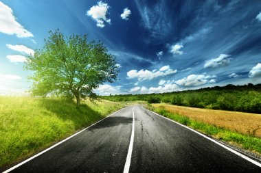 asphalt road in Tuscany Italy clipart