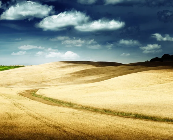 Colinas en Toscana, Italia —  Fotos de Stock