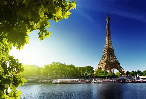 Seine in Paris mit Eiffelturm — Stockfoto