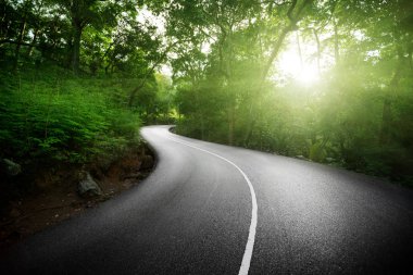Boş yol ormanda seychelles Adaları