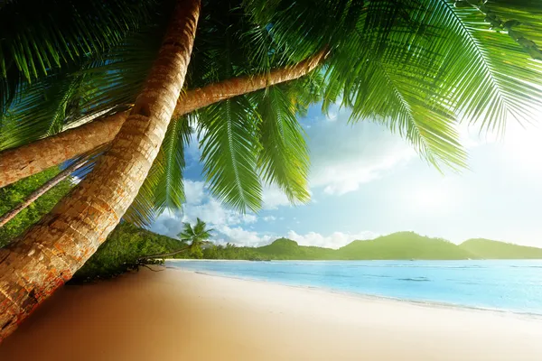 Atardecer en la playa, Isla Mahe, Seychelles — Foto de Stock