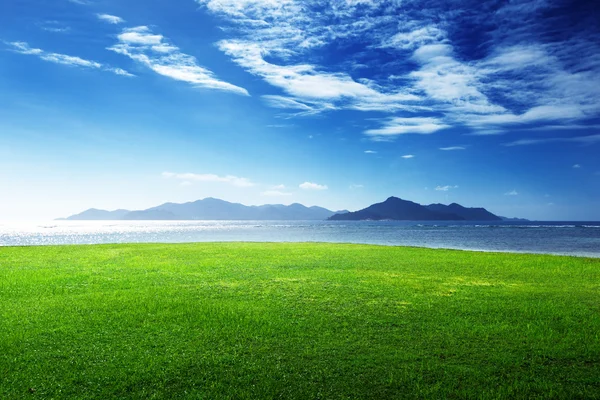 Grass and sea in sunset time — Stock Photo, Image