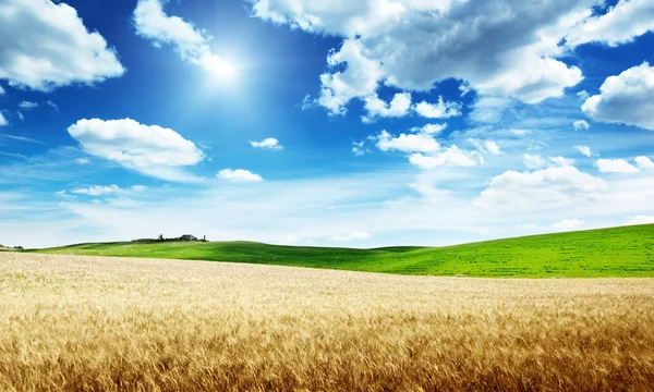 Colline di grano Toscana, Italia — Foto Stock