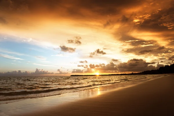 Sunset on the beach of caribbean sea — Stock Photo, Image