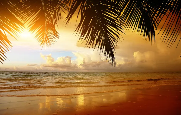 Zachód słońca na plaży Morza Karaibskiego — Zdjęcie stockowe