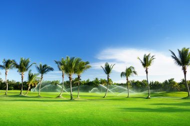 Sulama golf sahası