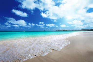 Praslin adasındaki sahil, Seyşeller.