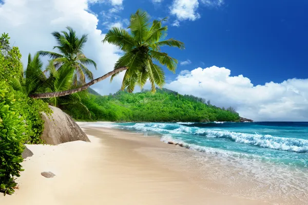 Пляж на острове Маэ, Сейшельские острова — стоковое фото