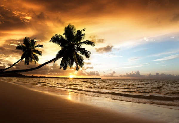 Solnedgång på stranden i Karibiska havet — Stockfoto