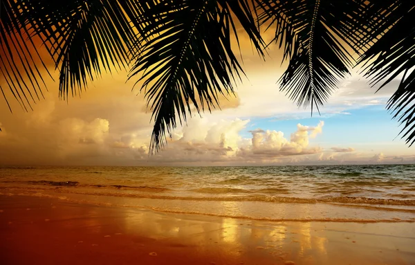 Sunset on the beach of caribbean sea — Stock Photo, Image