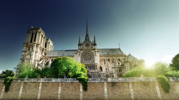 Notre Dame Paris, Frankrike — Stockfoto