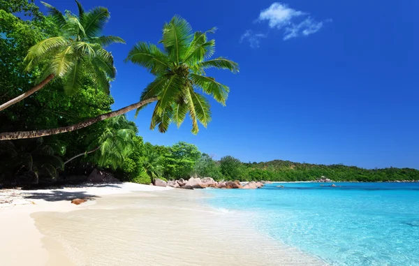 Strand van Anse Lazio bij Praslin, Seychellen — Stockfoto