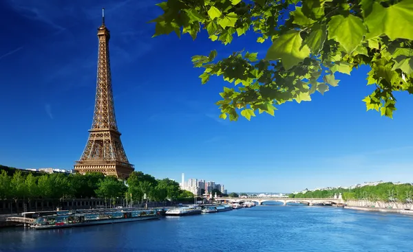 Torre Eiffel, Parigi. Francia Fotografia Stock