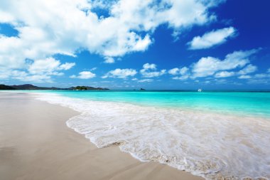 Praslin adasındaki sahil, Seyşeller.