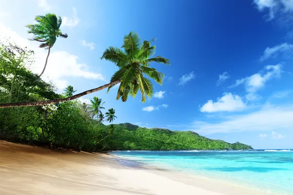 Playa al atardecer en la isla Mahe en Seychelles — Foto de Stock