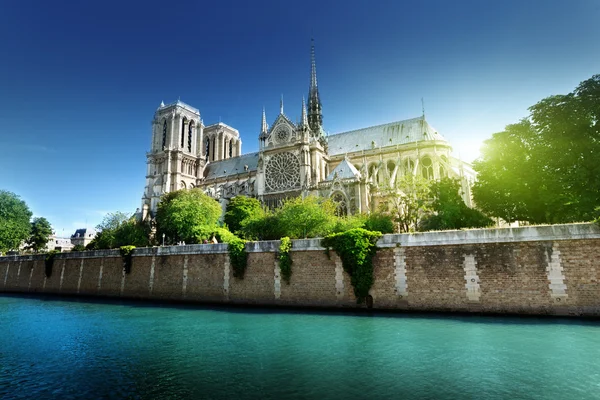 Notre Dame Paris, Franciaország — Stock Fotó