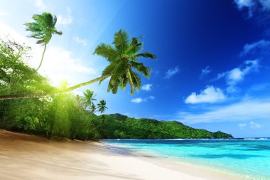 beach in sunset time on Mahe island in Seychelles clipart
