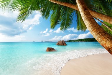 Anse lazio beach praslin Adası Seyşel Adaları'nda