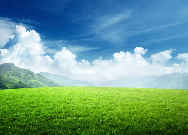 Campo d'erba in montagna — Foto Stock