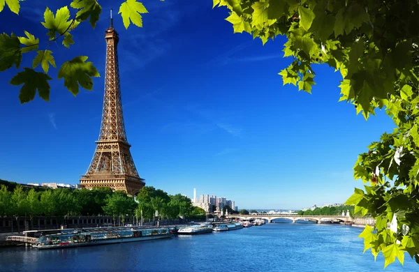 Torre Eiffel, Paris. França Imagem De Stock