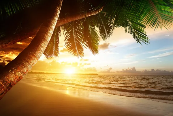 Zonsopgang op Caribisch strand — Stockfoto