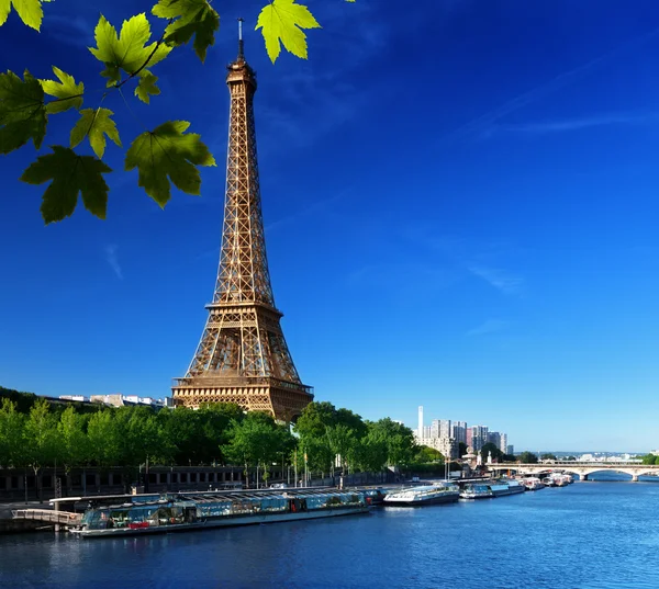 Eiffeltoren, Parijs. Frankrijk Rechtenvrije Stockafbeeldingen