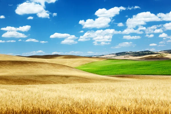 Colline d'orzo Toscana, Italia — Foto Stock