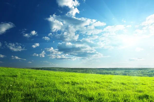 Campo de grama de primavera e floresta — Fotografia de Stock