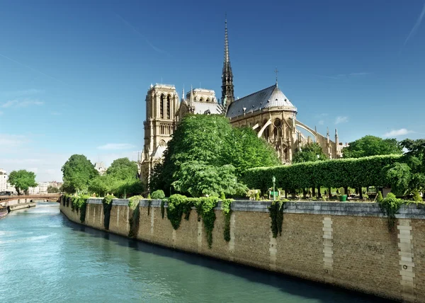 Notre Dame París, Francia — Foto de Stock