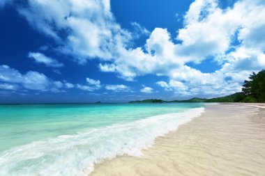 Praslin adasındaki sahil, Seyşeller.