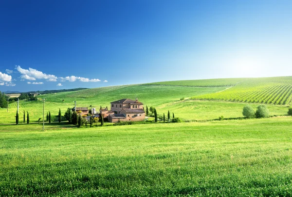 Paesaggio toscano con casale tipico, Italia — Foto Stock