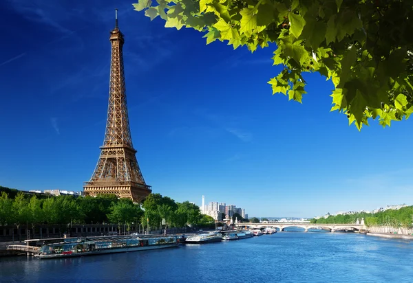 Eiffelova věž, Paříž. Francie — Stock fotografie