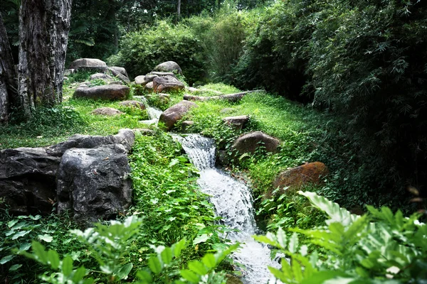 Joki viidakossa — kuvapankkivalokuva