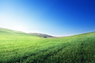 güneşli bir gün tepelerde Toskana, İtalya