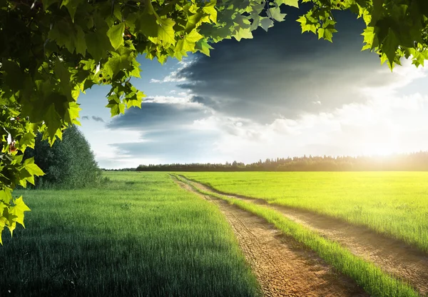 Marken road och solnedgång — Stockfoto