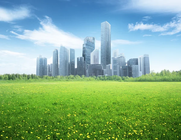 Field of spring flowers and modern city — Stock Photo, Image