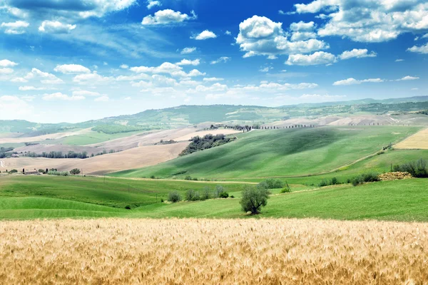 Paesaggio estivo della Toscana, Italia — Foto Stock